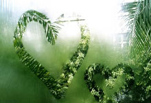  字母哥复出首秀出彩，纽约尼克斯主场大胜曼联，豪取25连胜